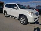 2011 Lexus GX 460