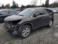 Honda salvage cars for sale: 2013 Honda CR-V EXL