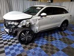 Salvage cars for sale at Graham, WA auction: 2023 KIA Sorento EX