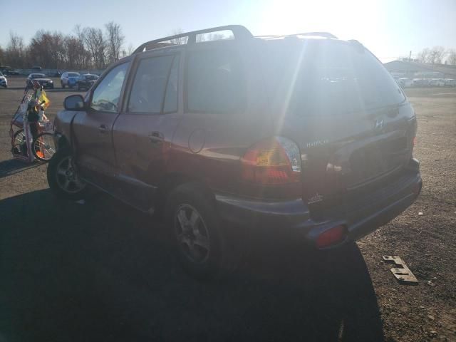 2004 Hyundai Santa FE GLS