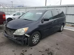 Salvage cars for sale at Magna, UT auction: 2010 Honda Odyssey EX