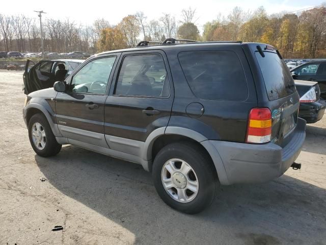 2001 Ford Escape XLT