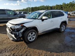 Salvage cars for sale at Greenwell Springs, LA auction: 2020 Toyota Rav4 XLE