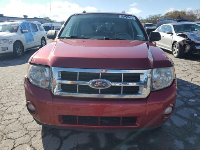 2008 Ford Escape XLT