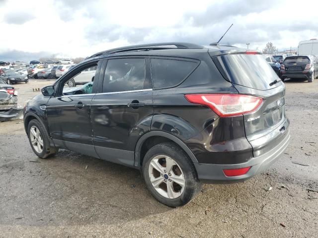 2014 Ford Escape S