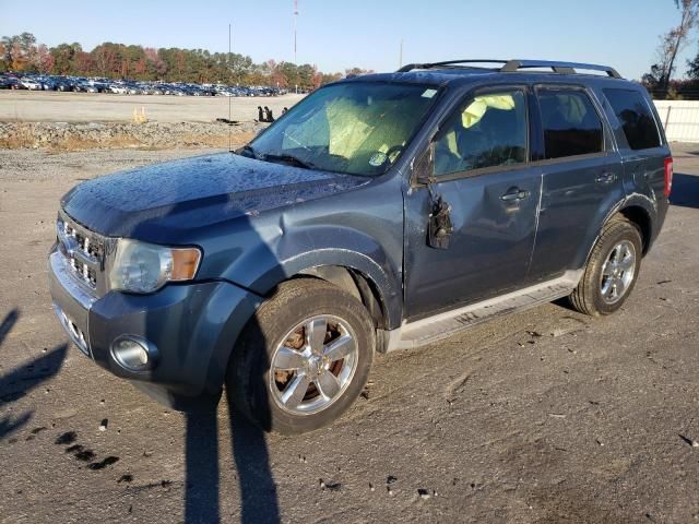 2010 Ford Escape Limited