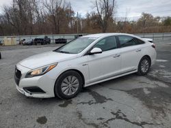 Salvage cars for sale at Albany, NY auction: 2016 Hyundai Sonata Hybrid