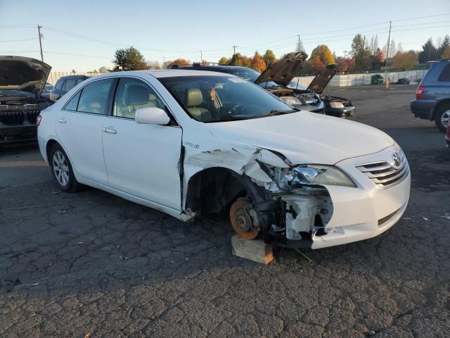 2009 Toyota Camry Hybrid