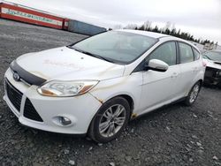 Ford salvage cars for sale: 2012 Ford Focus SEL