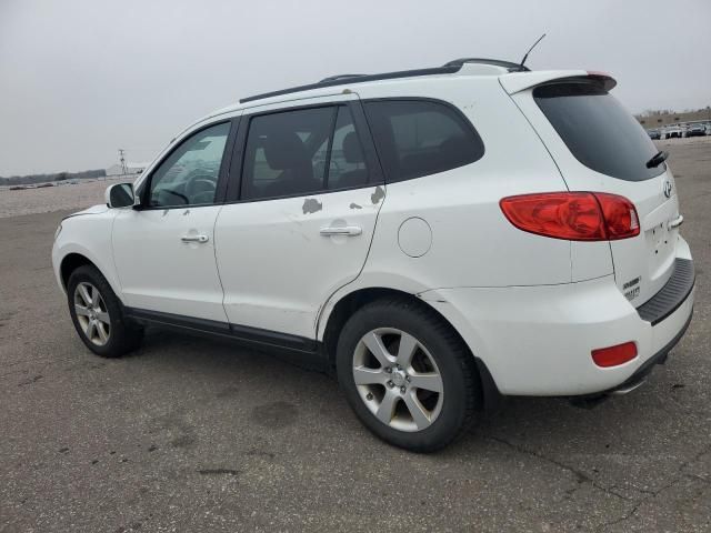 2009 Hyundai Santa FE SE