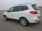 2009 Hyundai Santa FE SE