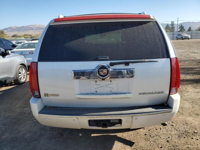 2010 Cadillac Escalade Hybrid