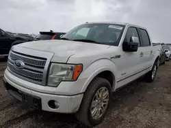 Salvage trucks for sale at Elgin, IL auction: 2011 Ford F150 Supercrew