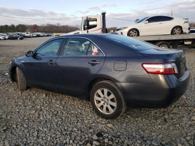 2009 Toyota Camry Hybrid