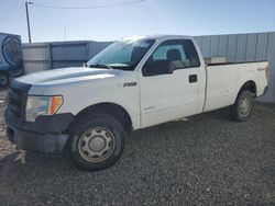 2013 Ford F150 en venta en Riverview, FL