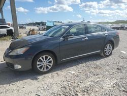 Salvage cars for sale from Copart West Palm Beach, FL: 2011 Lexus ES 350