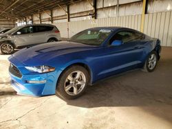 Ford salvage cars for sale: 2019 Ford Mustang