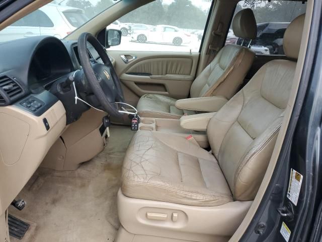 2005 Honda Odyssey EXL