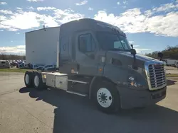 Salvage trucks for sale at West Mifflin, PA auction: 2017 Freightliner Cascadia 113