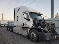 Freightliner Cascadia 126 salvage cars for sale: 2020 Freightliner Cascadia 126