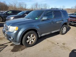 Salvage cars for sale at Marlboro, NY auction: 2010 Ford Escape Limited