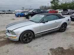 Salvage cars for sale from Copart Lexington, KY: 2005 Ford Mustang