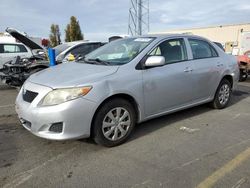 Salvage cars for sale from Copart Hayward, CA: 2009 Toyota Corolla Base