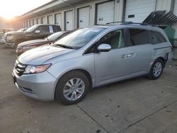 Vehiculos salvage en venta de Copart Louisville, KY: 2014 Honda Odyssey EXL