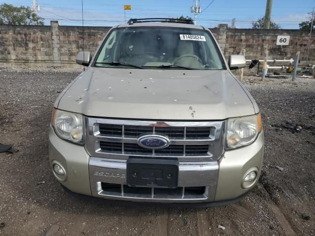 2010 Ford Escape Limited