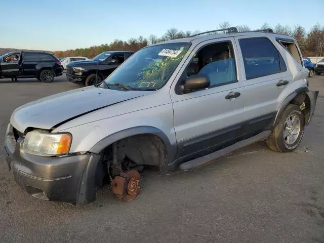 2004 Ford Escape XLT