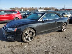 2013 Audi S5 Premium Plus en venta en Pennsburg, PA