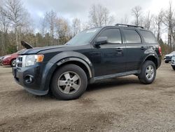 Vehiculos salvage en venta de Copart Ontario Auction, ON: 2011 Ford Escape XLT