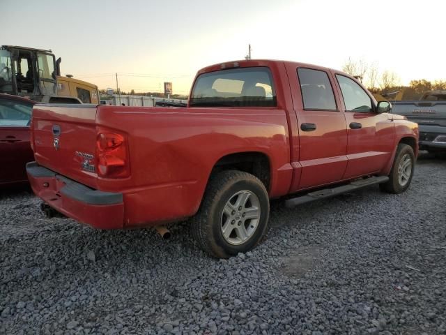 2011 Dodge Dakota SLT