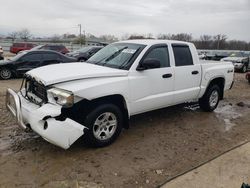 Salvage cars for sale at Louisville, KY auction: 2006 Dodge Dakota Quad SLT