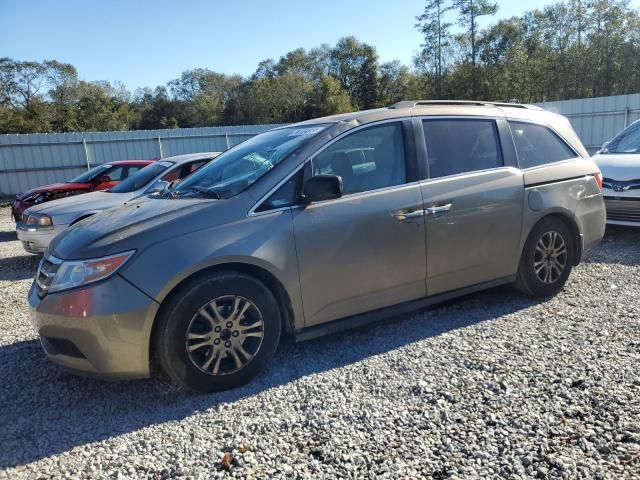 2011 Honda Odyssey EXL