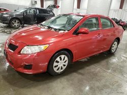 Toyota Corolla salvage cars for sale: 2009 Toyota Corolla Base