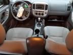 2007 Ford Escape XLT