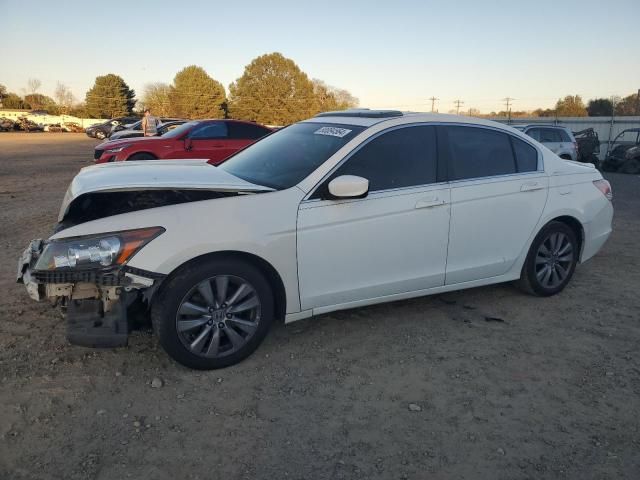 2011 Honda Accord EXL