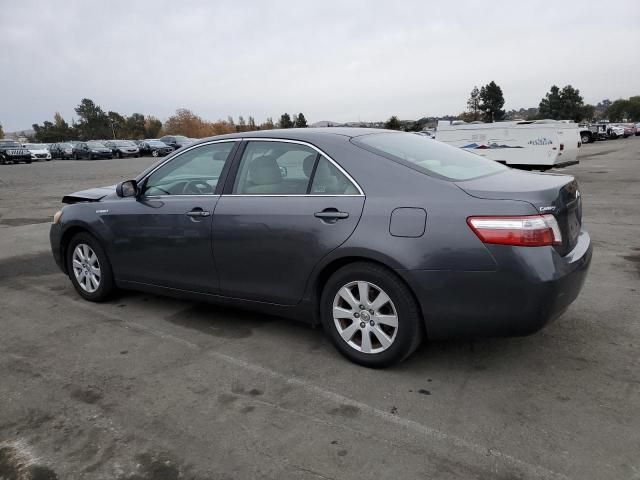 2009 Toyota Camry Hybrid