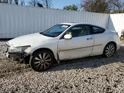 Salvage cars for sale at Baltimore, MD auction: 2008 Honda Accord EXL