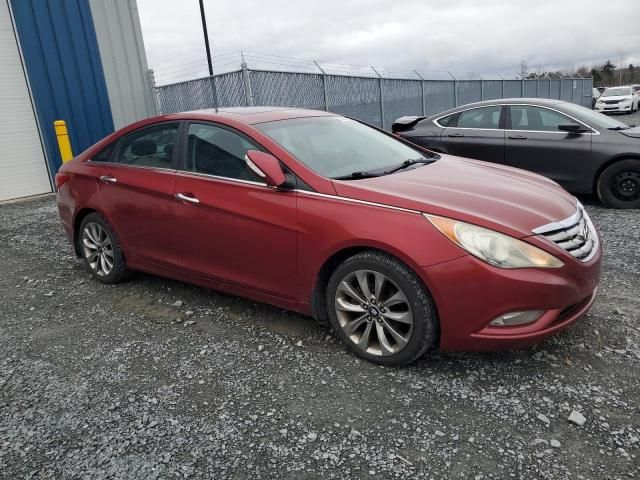 2011 Hyundai Sonata SE