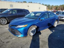 Toyota Camry xle salvage cars for sale: 2020 Toyota Camry XLE