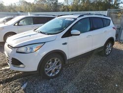 Carros salvage sin ofertas aún a la venta en subasta: 2013 Ford Escape SE