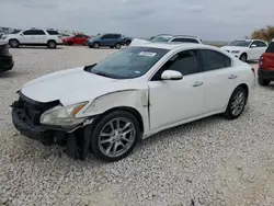 Salvage cars for sale at Taylor, TX auction: 2011 Nissan Maxima S