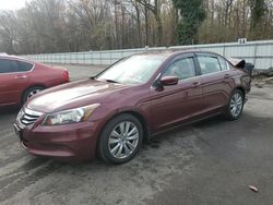 Honda Accord salvage cars for sale: 2012 Honda Accord EXL