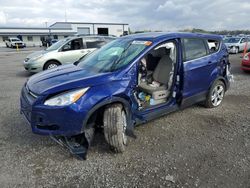 Ford Vehiculos salvage en venta: 2014 Ford Escape SE