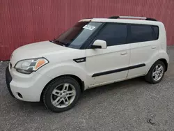 Salvage cars for sale at London, ON auction: 2010 KIA Soul +