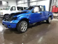 Salvage cars for sale at Ham Lake, MN auction: 2014 Ford F150 Super Cab