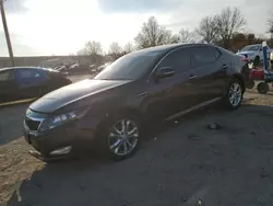 Salvage cars for sale at Baltimore, MD auction: 2013 KIA Optima EX