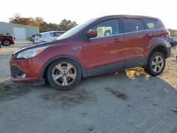 Salvage cars for sale at Hampton, VA auction: 2014 Ford Escape SE